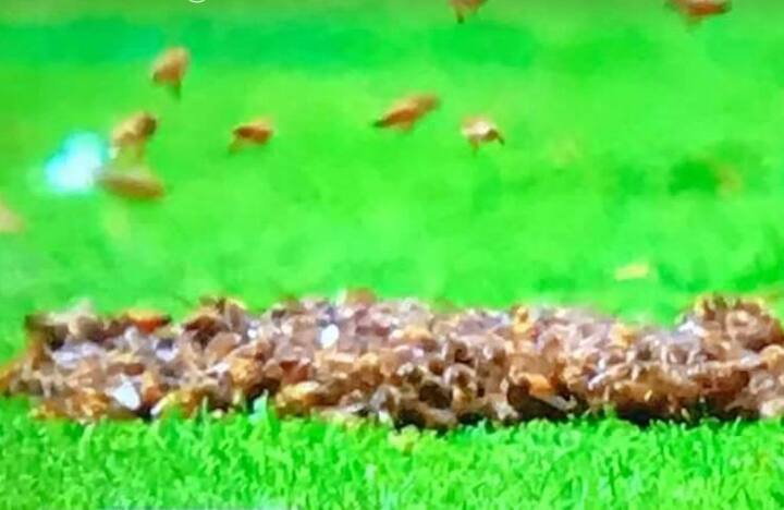 তারপর আর কোনও সমস্যা হয়নি। নির্বিঘ্নেই শেষ হয় ম্যাচ