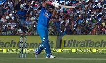 দেখুন, শতরান করে যুবরাজের রেকর্ড ভেঙে দিলেন রস টেলর