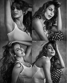 লাস্যময়ী ৪৩-এর মালাইকার ইস্টাগ্রাম ছবি অস্বস্তিতে ফেলতে পারে যেকোনও ২০-র তরুণীকেও