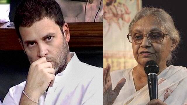 Sheila Said What People Already Knew Bjp On Rahul Comment রাহুল অপরিণত, সকলেই জানে, শীলা স্বীকার করেছেন, কটাক্ষ বিজেপির