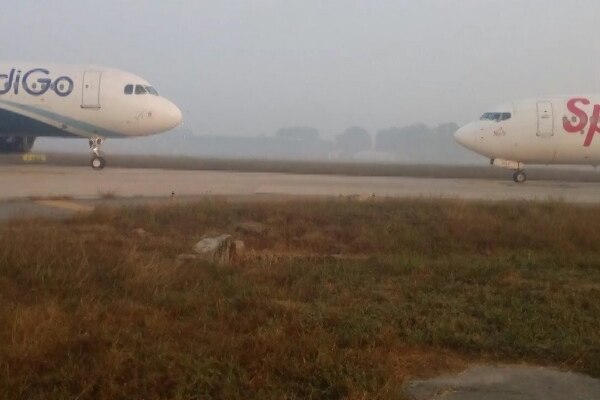 Rabbits On The Runway Collision Averted Between 2 Planes At Ahmedabad Airport রানওয়েতে খরগোশ, অল্পের জন্য দুর্ঘটনা এড়াল দুই বিমান
