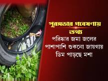 খামখেয়ালি আবহাওয়ায় গোটা বছরই থাকতে পারে ডেঙ্গির প্রকোপ! আশঙ্কা বিশেষজ্ঞদের