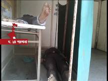 বিষ্ণুপুরে লরির সঙ্গে অটোর সংঘর্ষ, মৃত ৪