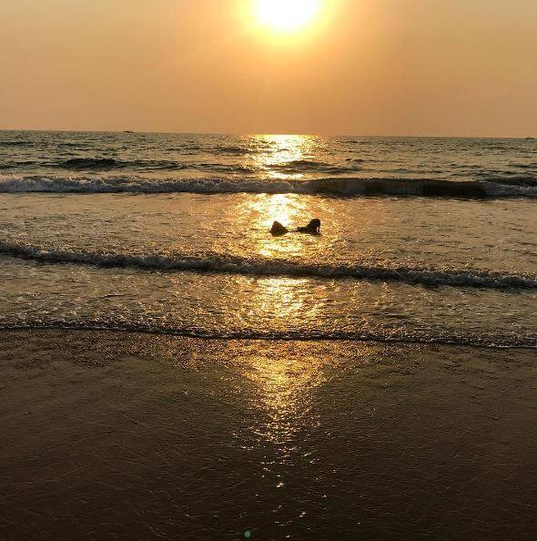 আরতী ছাবরিয়া