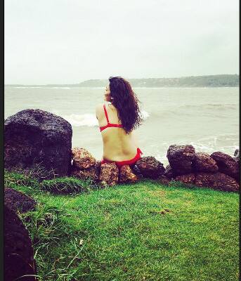 চিত্রাশির কথায় শাহরুখ সত্যিকারেরই বাদশা, তাঁর হাসি অসাধারণ। সুপারস্টারের কৌতুকবোধের ভক্ত তিনি। 