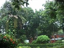 আকাশ কালো করে আজও বৃষ্টি, শহরে যানজটে দুর্ভোগ