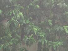 শহরবাসীর জন্য সুখবর, আজ শহরে বিক্ষিপ্ত ও হাল্কা বৃষ্টির পূর্বাভাস