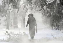 সাইবেরিয়া: ঠাকুমার জন্য সাহায্য আনতে মাইনাস ৩৪ ডিগ্রিতে ৫ মাইল হাঁটল ৪ বছরের মেয়ে