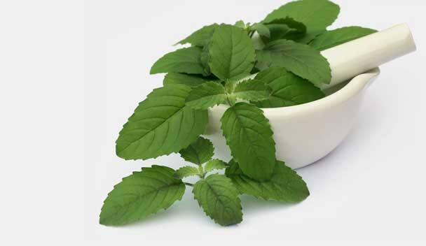 তুলসি- পাকস্থলীতে অতিরিক্ত মিউকাস উত্পাদনে সাহায্য করে তুলসি। এতে রয়েছে অ্যান্টিআলসার উপাদান, যা গ্যাসট্রিক অ্যাসিডের প্রকোপ কমায়। অ্যাসিডিটি হলে পাঁচ থেকে ছয়টি তুলসি পাতা চিবিয়ে খেলে উপকার হয়।