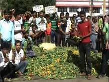 প্রতি কেজিতে দাম মাত্র ৫০ পয়সা থেকে ১ টাকা, ঝাড়গ্রামে রাস্তায় করলা ফেলে বিক্ষোভ কৃষকদের