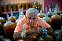 আজব উপায়: কিউবায় এভাবেই মদ তৈরি করতে কন্ডোম ব্যবহার করে একটি পরিবার