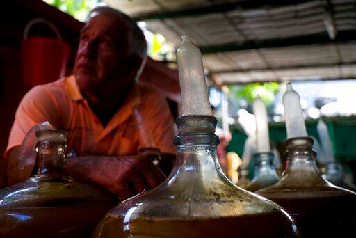 হাভানার একটি পরিবার বড় কাচের বোতলে আঙুল, আদা ও অন্যান্য উপকরণ মিশিয়ে ভরে রেখে এর মুখ কন্ডোম দিয়ে বন্ধ করে রাখছেন। 