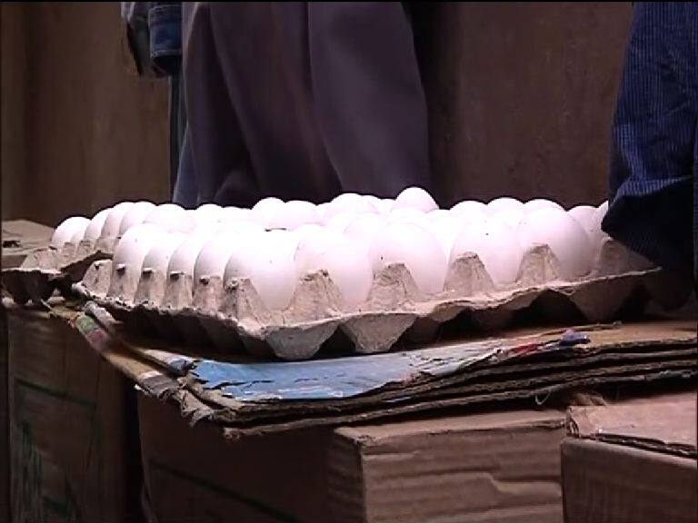 Eggs In Bengal Absolutely Safe Claims Mamata Govt বাংলার ডিম সম্পূর্ণ নিরাপদ, বিজ্ঞপ্তি দিয়ে ঘোষণা রাজ্যের