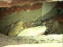 ঠাকুরপুকুরে রাস্তায় ধস, ডায়মন্ডহারবার রোডে ব্যাহত যান চলাচল