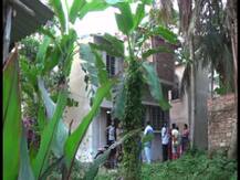 ডাকাতিতে বাধা, দুষ্কৃতীদের চিনে ফেলায় দক্ষিণ ২৪ পরগনার বিষ্ণুপুরে খুন বৃদ্ধা