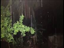 কলকাতা-সহ দক্ষিণবঙ্গে বিক্ষিপ্ত বৃষ্টি, ট্রেন চলাচল ব্যাহত, গাছ পড়ে আহত ৪