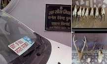 প্রাক্তন সেনাকর্তার বাড়ি থেকে উদ্ধার ১১৭ কেজি নীলগাইয়ের মাংস, হরিণের মাথা, সিং, হাতির দাঁত, ৪০টি বন্দুক, নগদ