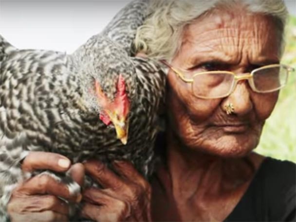106 Year Old Grandma Is A Youtube Sensation For Her Cooking Videos ১০৬ বছর বয়সি এই বৃদ্ধা এখন ইউটিউবের নতুন আকর্ষণ, কেন জানেন?
