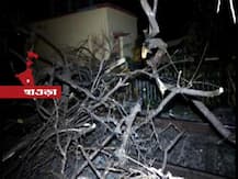 কলকাতা থেকে জেলায় বৃষ্টিতে স্বস্তি, ঝড়ে দুর্ভোগ