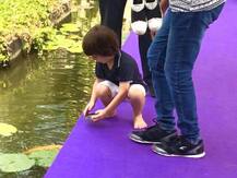 কেকেআর টিম হোটেলে আপন খেলায় মেতে ছোট্ট আবরাম...