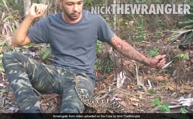 This Mans Terrifying Encounter With A Rattlesnake Gets 6 7 Million Views মুখ ঘুরিয়ে যখন দেখলেন, আপনার পাশে বসে র‌্যাটল স্নেক