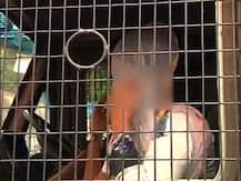 সার্ভে পার্কে পাঁচ বছর ধরে দশমশ্রেণীর ছাত্রীকে যৌন নির্যাতন, গ্রেফতার সৎ বাবা