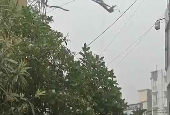 বিহারে ঝড়, বজ্রপাতে মৃত ২৩ Bihar 23 Killed In Lightning Storm As Weather Wreaks Havoc Across State বিহারে ঝড়, বজ্রপাতে মৃত ২৩