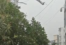 বিহারে ঝড়, বজ্রপাতে মৃত ২৩