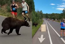 দৌড় প্রতিযোগিতার সময় আচমকাই ভাল্লুক হানার সামনে কিশোর, মৃত্যুর আগে পরিবারকে মেসেজ