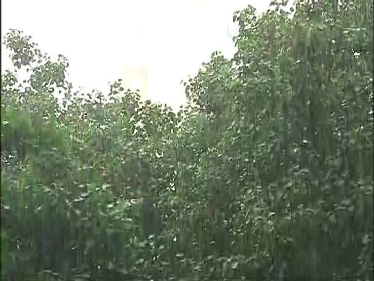 Forecast Of Heavy Rain Tomorrow On Bengal রথে রাজ্যজুড়ে ভারী বৃষ্টির পূর্বাভাস