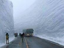 সীমান্তে ভারতের সঙ্গে ঝামেলা, তাই মানস সরোবর যাত্রা বন্ধ, জানাল বেজিং