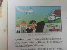 শব্দদূষণের ছবিতে মসজিদ, আইসিএসই পাঠ্যবই ঘিরে বিতর্ক