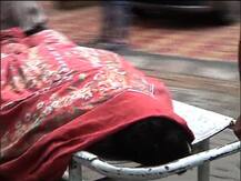 রিজেন্ট পার্কে কলেজছাত্রীর \'আত্মহত্যা\', বাড়িওয়ালার নাবালক ছেলের বিরুদ্ধে অভিযোগ