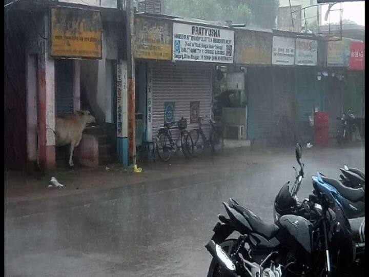 রায়গঞ্জ