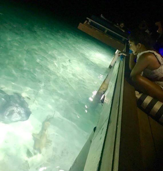 সোশ্যাল মিডিয়ায় পোস্ট করা হয়েছে ছবিগুলি। 