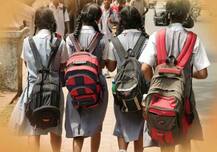 পড়ুয়াদের শিরদাঁড়া, হাঁটুর ক্ষতি এড়াতে স্কুলব্যাগের ওজনের ঊর্ধ্বসীমা বেঁধে দিল তেলঙ্গানা সরকার