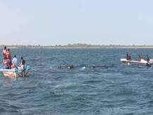 দেখুন ভিডিও: কীভাবে মাঝসমুদ্রে ভেসে যাওয়া দুটি হাতিকে উদ্ধার করল শ্রীলঙ্কার নৌসেনা