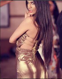 মিউজিক ভিডিও ‘পেগ টু পেগ’-এর ছবি ইনস্টাগ্রামে শেয়ার করলেন পুনম পাণ্ডে