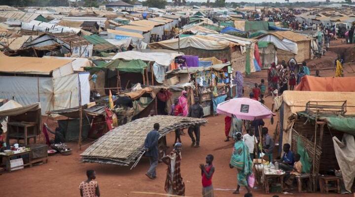 আফ্রিকার যুদ্ধবিধ্বস্ত দেশগুলিতে এই মরশুমে পর্যাপ্ত বৃষ্টিও হয়নি। ফলে ফসলের বিপুল ক্ষতি হয়েছে। আনাজের দাম আকাশছোঁয়া হয়ে গিয়েছে। পানীয় জলেরও চরম অভাব। এর ফলে শুধু মানুষই নয়, পশুরাও মরণাপন্ন। ছবি সৌজন্যে এপি