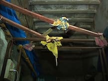 বোনের সঙ্গে খেলতে গিয়ে গলায় মায়ের কাপড়ের ফাঁস জড়িয়ে মৃত্যু ৮ বছরের নাবালিকার