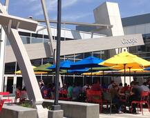 গুগলে চাকরির ভুয়ো ফোন: প্রচণ্ড হতাশাগ্রস্ত চণ্ডীগড়ের পড়ুয়া হাসপাতালে ভর্তি