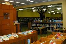 বস্তিতে লাইব্রেরি চালু করল পঞ্চম শ্রেণীর ছাত্রী, সাহায্যের হাত বাড়ালেন মধ্যপ্রদেশের মুখ্যমন্ত্রী