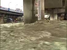 উত্তরবঙ্গে বৃষ্টি-বিপর্যয়: টানা বর্ষণে বিপর্যস্ত জনজীবন, এনজেপি স্টেশনে আটকে একাধিক ট্রেন, পাহাড়ে ধসে মৃত ২