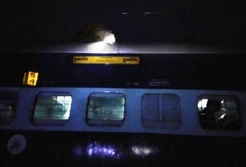 লোনাভালায় মুম্বইগামী ট্রেনের উপর পাথরের চাঁই পড়ে আহত তিন যাত্রী লোনাভালায় মুম্বইগামী ট্রেনের উপর পাথরের চাঁই পড়ে আহত তিন যাত্রী