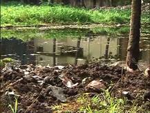 দক্ষিণ দমদমে ডেঙ্গি-আতঙ্ক, দুই পড়ুয়া সহ মৃত ৪, আক্রান্ত তিন শতাধিক