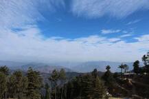 সিমলার ডায়েরি (তৃতীয় দিন): ভাইসরিগ্যাল লজ... মাশোবরার আপেল বাগান... পাহাড়ের মাথায় গল্ফগ্রিন...!