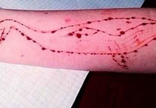 Gujrat Govt To Ban Blue Whale Game ব্লু হোয়েল গেম নিষিদ্ধ করতে উদ্যোগী গুজরাত সরকার