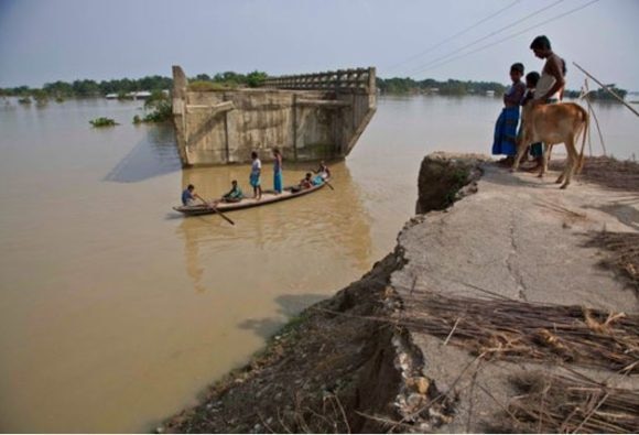 Rats Caused Bihar Floods Says Minister Earlier They Were High On Alcohol বিহারে বন্যার জন্য দায়ী ইঁদুর, দাবি মন্ত্রীর