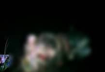 ‘স্ত্রীর স্নানের সময় বাথরুমে উঁকি’, দিল্লিতে ৬ বছরের ছেলেকে খুন প্রতিবেশী তরুণের