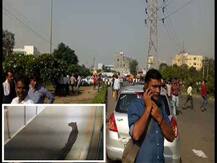 মারুতি সুজুকির মানেশ্বর প্ল্যান্টের ভেতর চিতার হানা, সাময়িক বন্ধ উৎপাদন